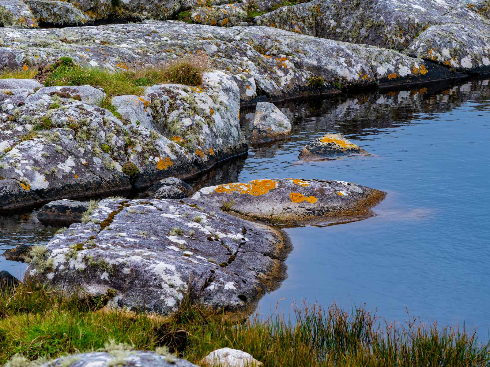 Colors of Connemara