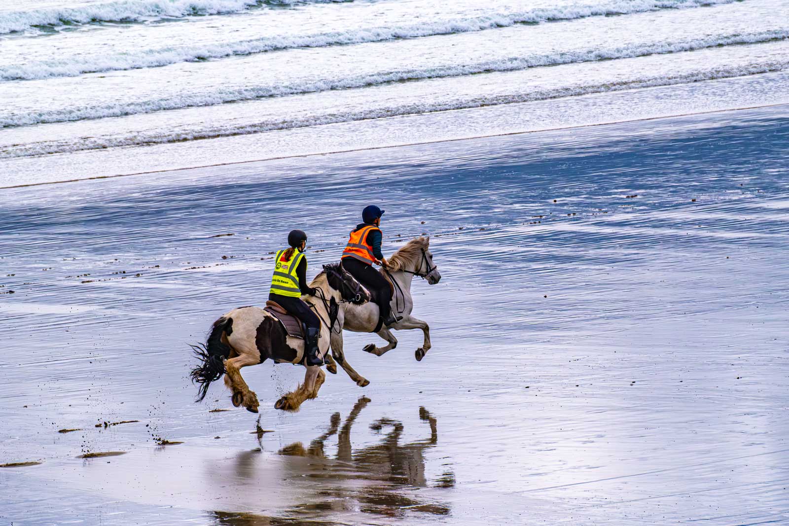 Horses on Dookinella Beach